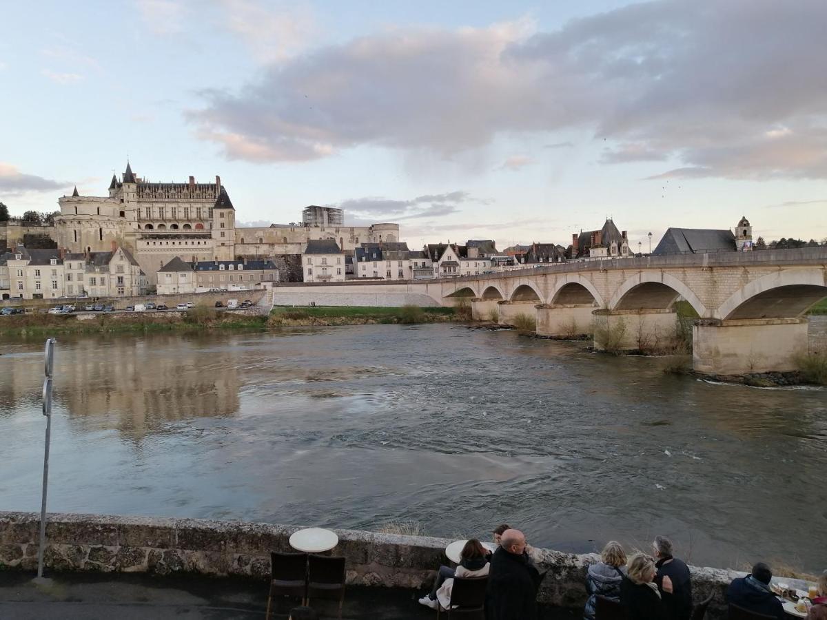 La Maison De L'Elephant Perche Amboise Luaran gambar
