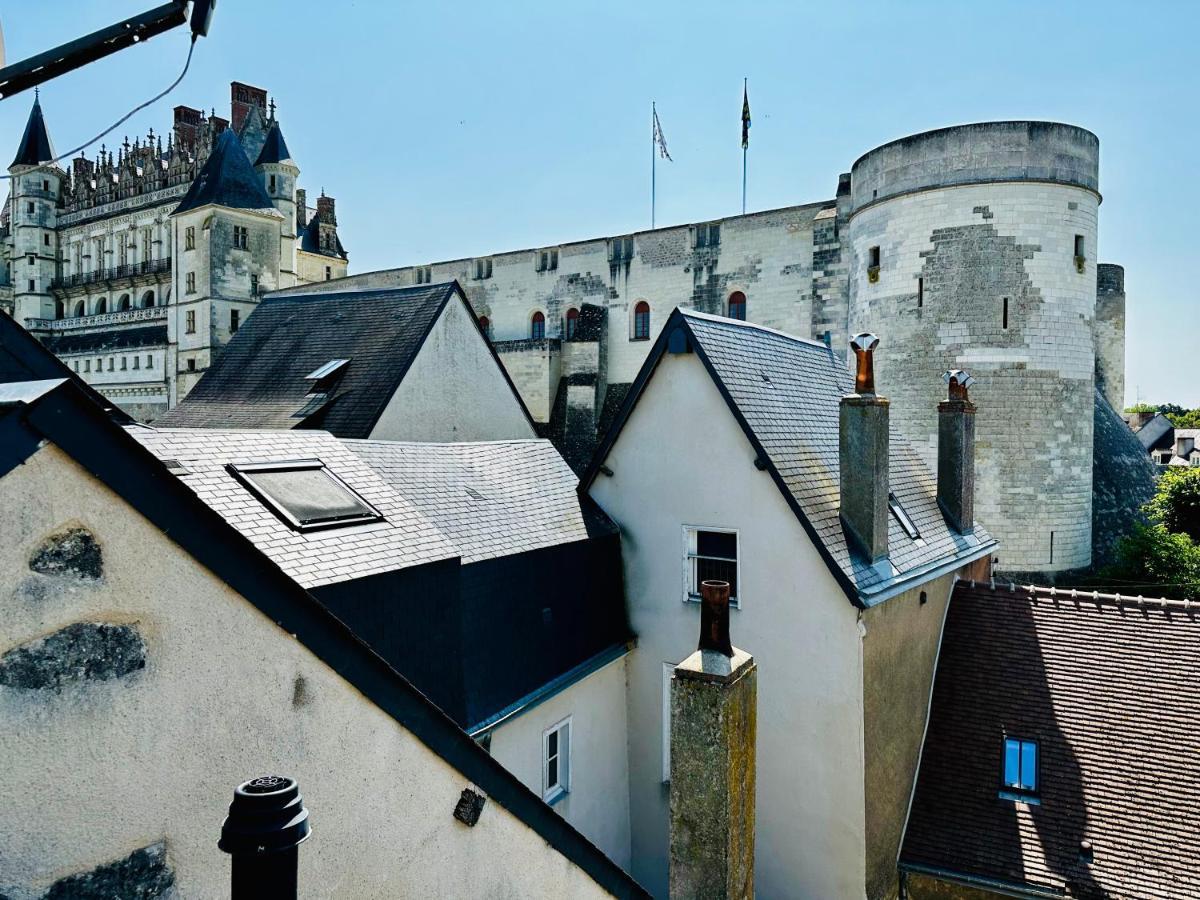 La Maison De L'Elephant Perche Amboise Luaran gambar