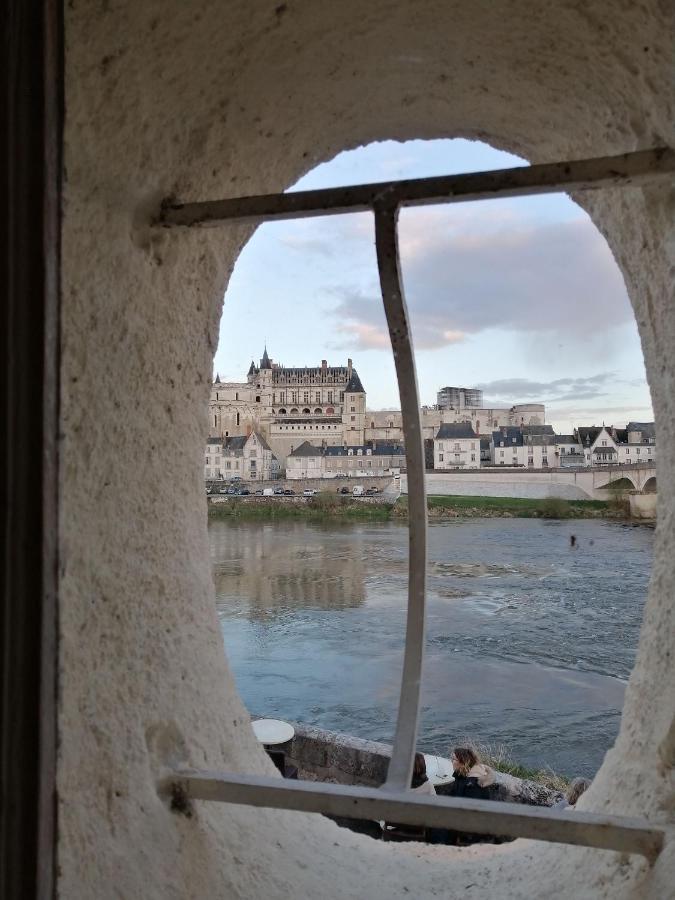 La Maison De L'Elephant Perche Amboise Luaran gambar